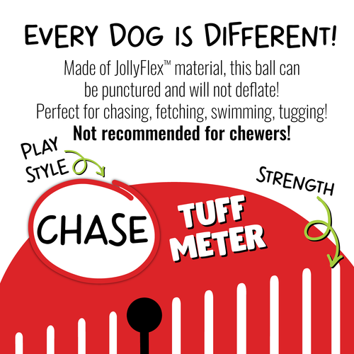Tug-n-Toss Dog Toy