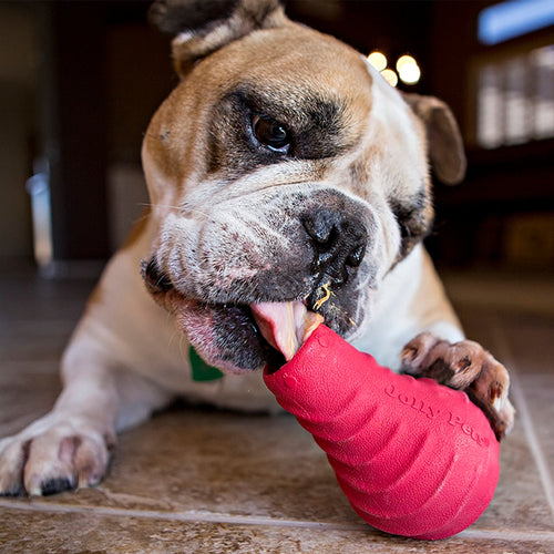 Jolly Tuff Toppler Dog Toy