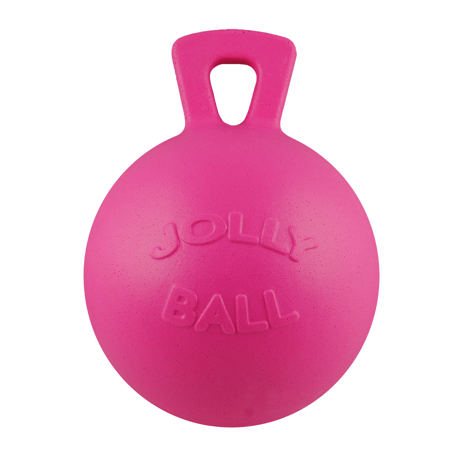 Tug-n-Toss Dog Toy