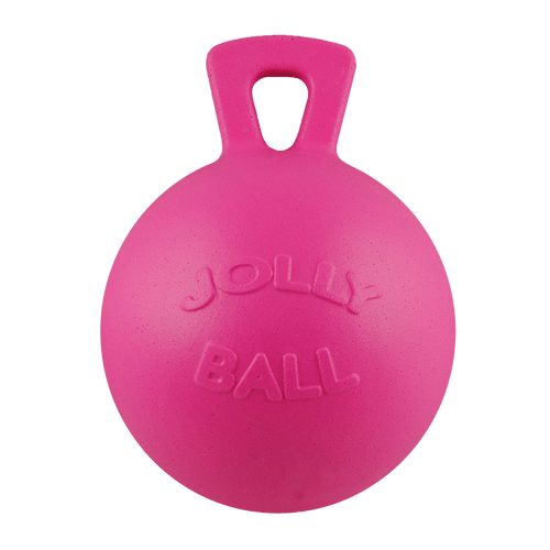 Tug-n-Toss Dog Toy