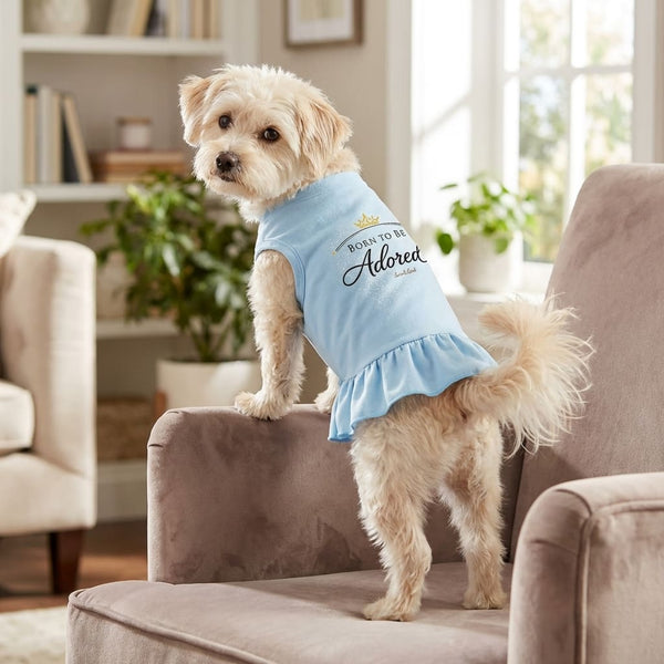 Adored Sparkle Dog Dress - Dog Dress