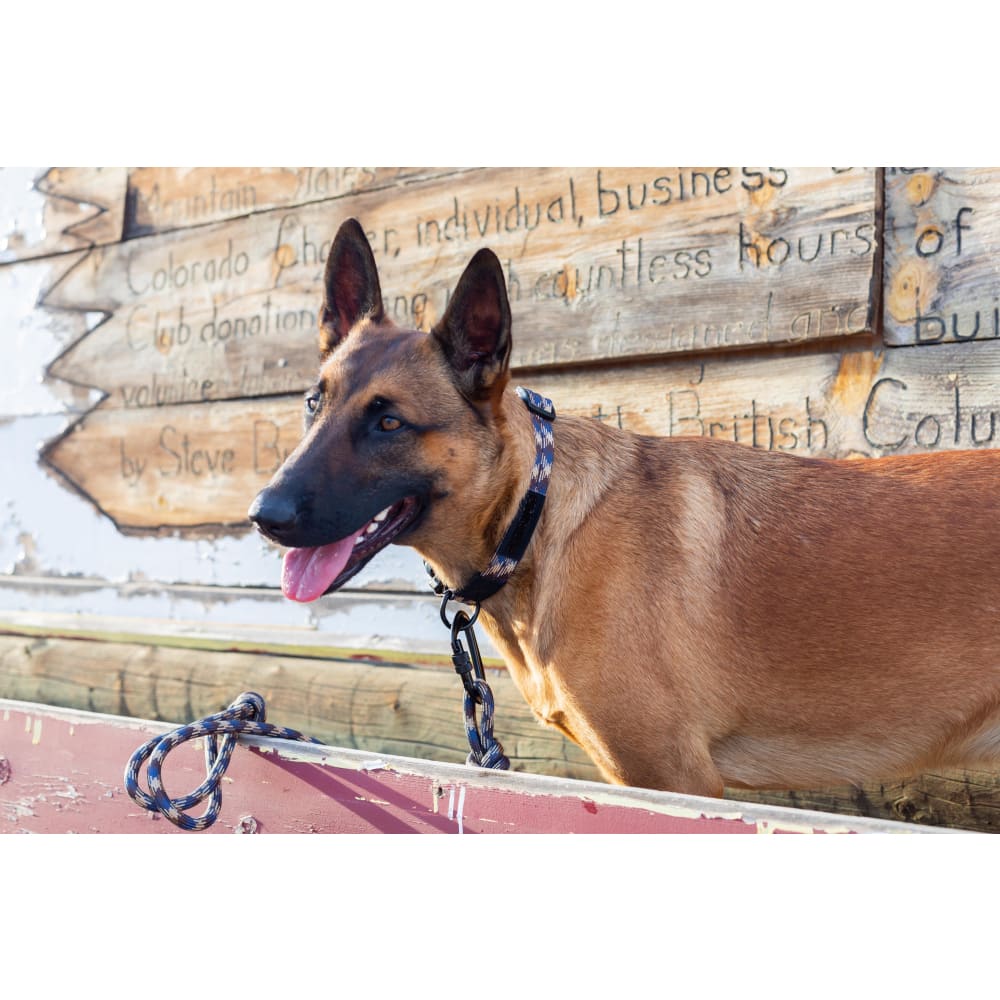 Adventure Style Mountain Argyle Climbing Rope Dog Leash