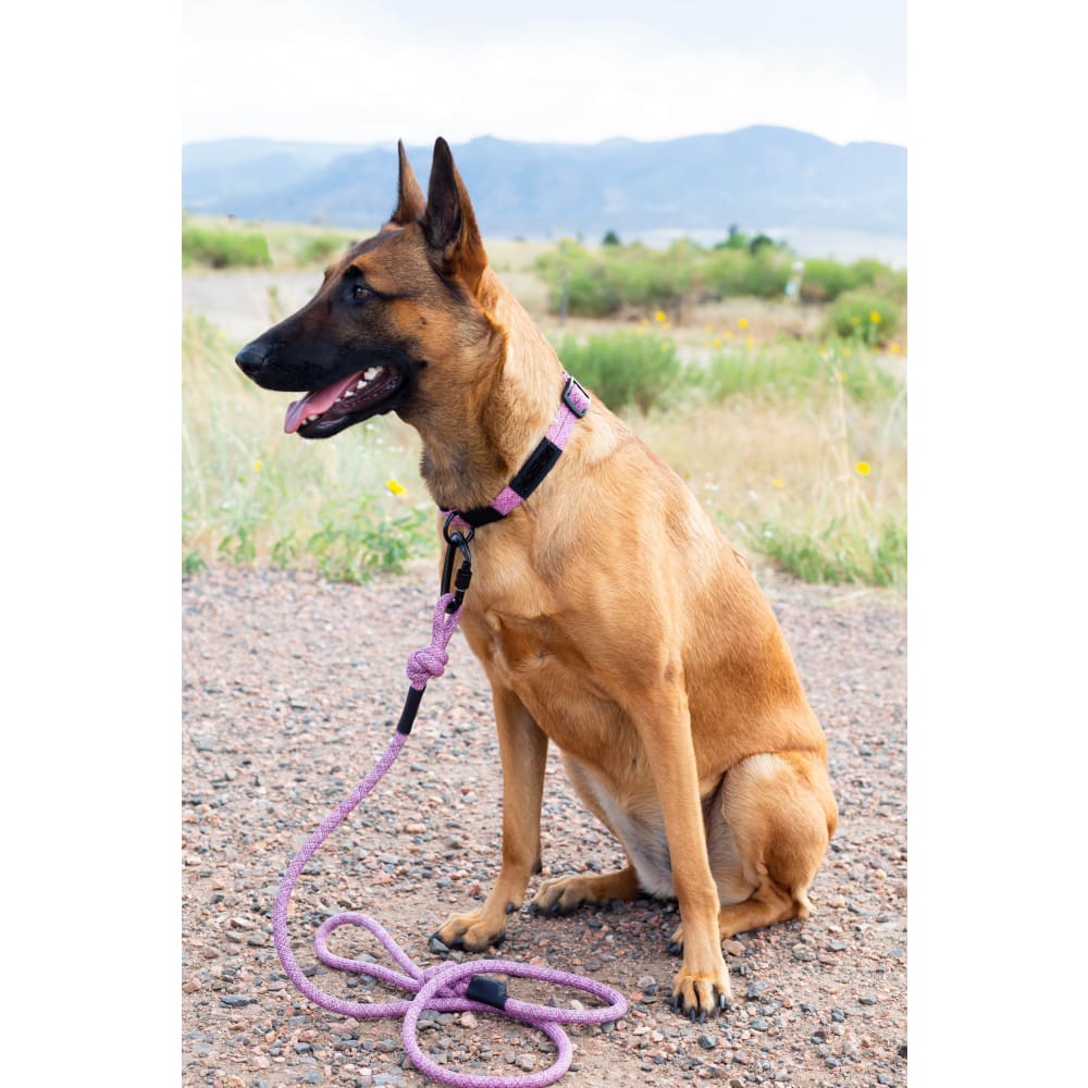 Adventure Style Mountain Blush Climbing Rope Dog Collar