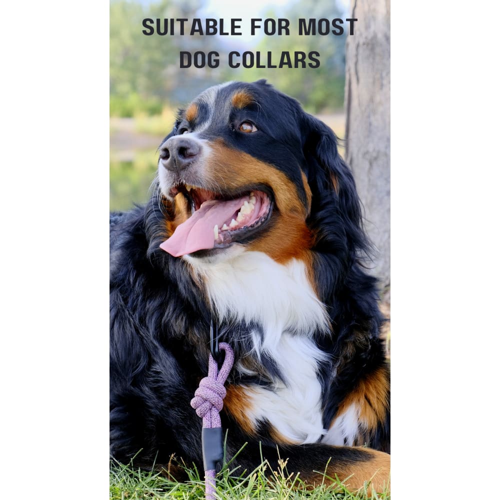 Adventure Style Mountain Blush Climbing Rope Dog Leash