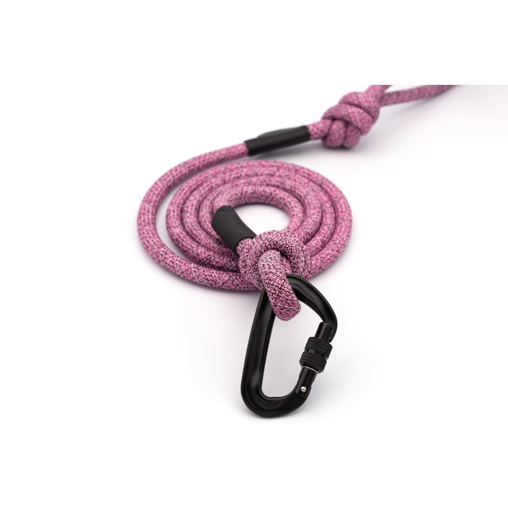Adventure Style Mountain Blush Climbing Rope Dog Leash