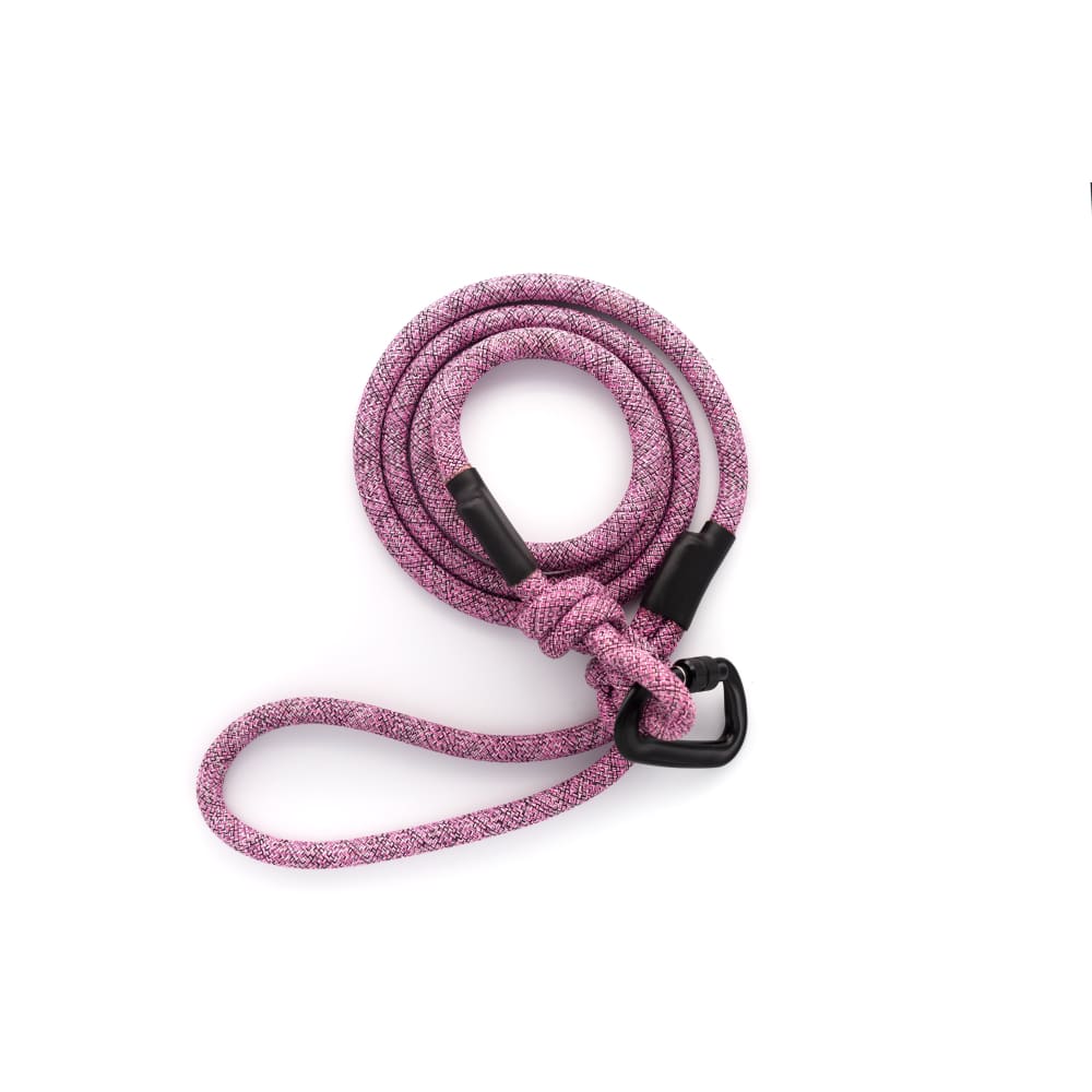 Adventure Style Mountain Blush Climbing Rope Dog Leash