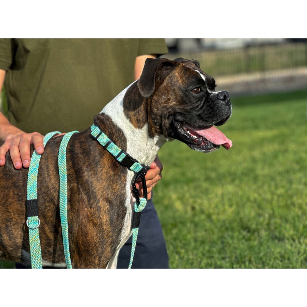 Adventure Style Mountain Wave Flat Weave Climbing Rope Dog