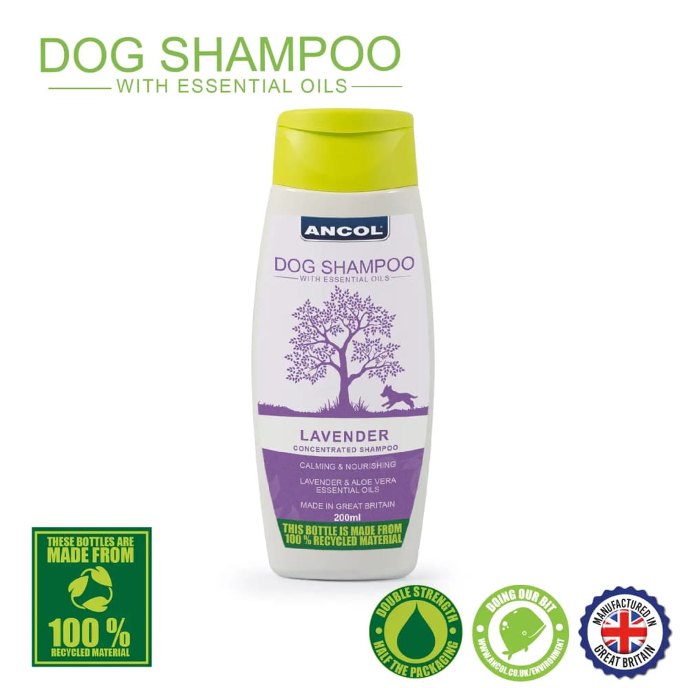 Lavender Dog Shampoo – Gentle Puppy Safe Essential Oils