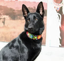 Arani Dots Beaded Dog Collar - Dog Collars - Maasai