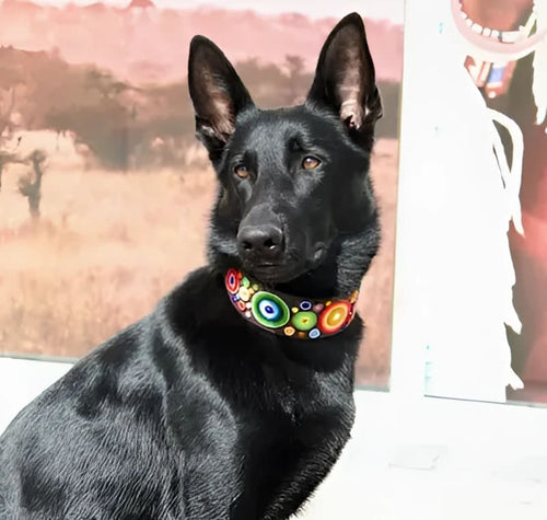 Arani Dots Beaded Dog Collar - Dog Collars - Maasai