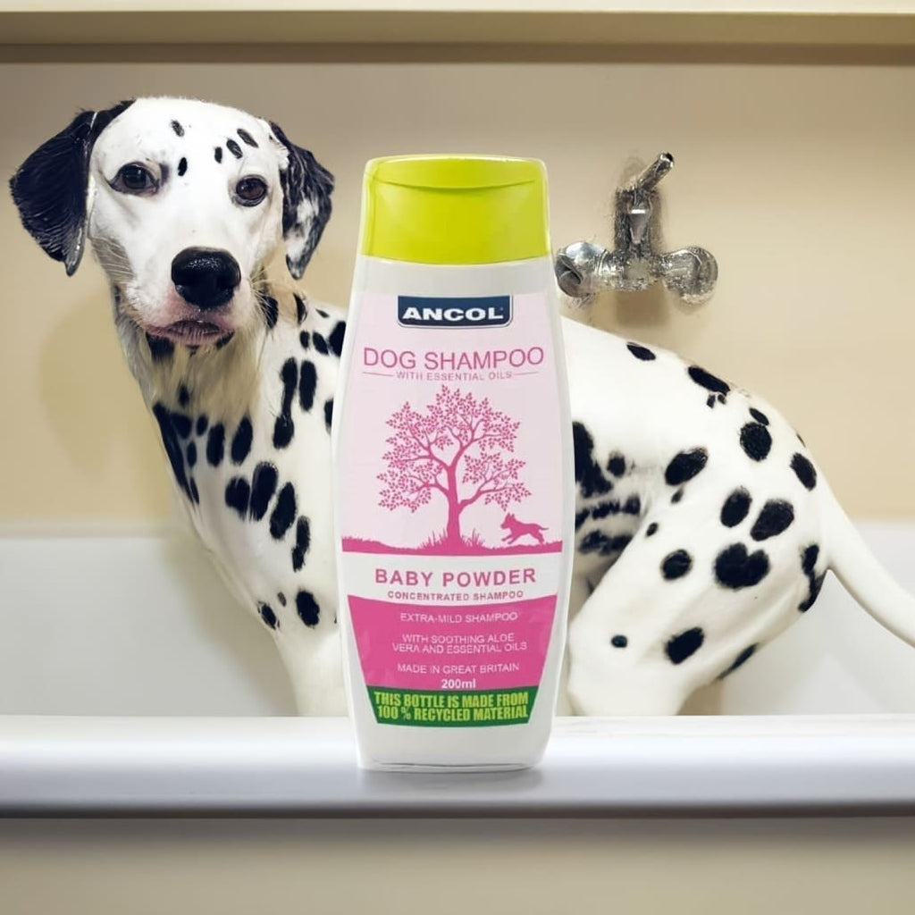 Baby Powder Dog Shampoo – Gentle Formula Essential Oils