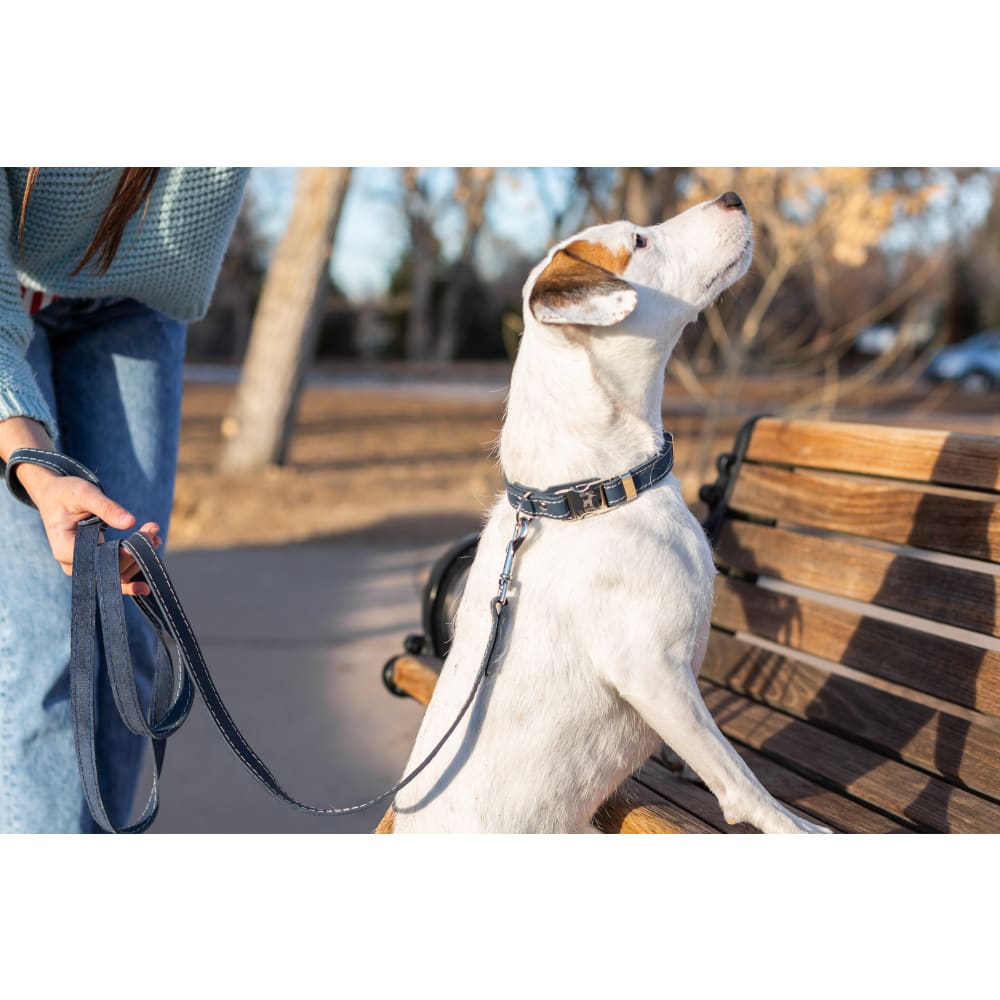 Bestseller Quick-Release Blue Jeans Leather Dog Collar