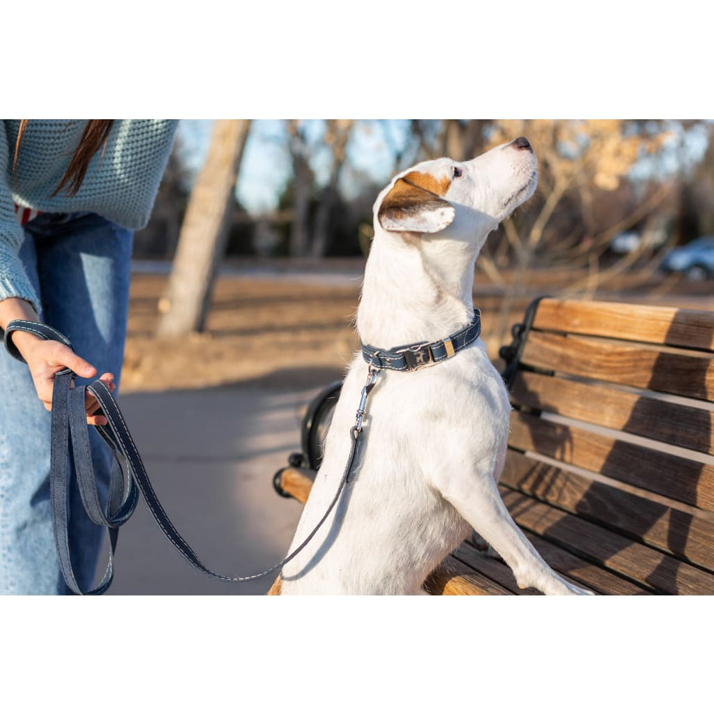 Bestseller Quick-Release Blue Jeans Leather Dog Collar