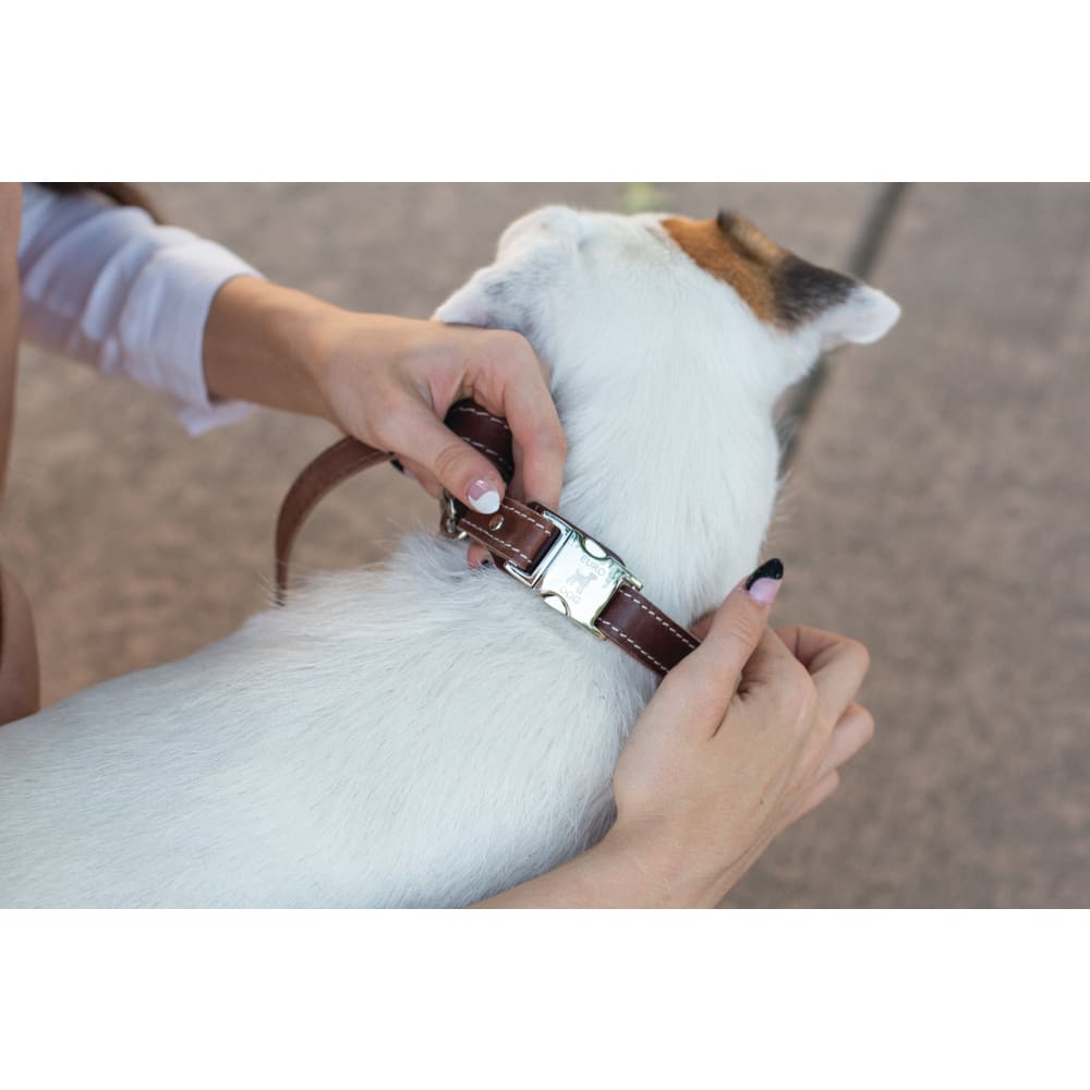 Bestseller Quick-Release Chocolate Leather Dog Collar