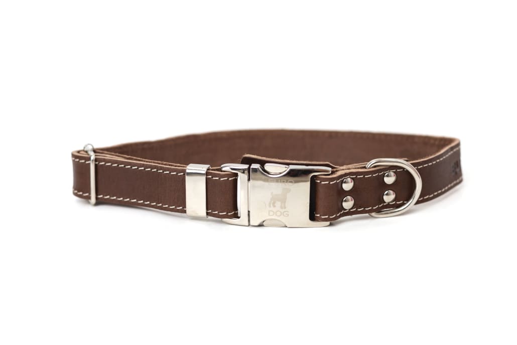 Bestseller Quick-Release Chocolate Leather Dog Collar