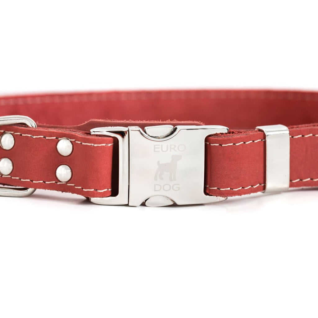 Bestseller Quick-Release Coral Reef Leather Dog Collar