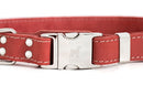 Bestseller Quick-Release Coral Reef Leather Dog Collar