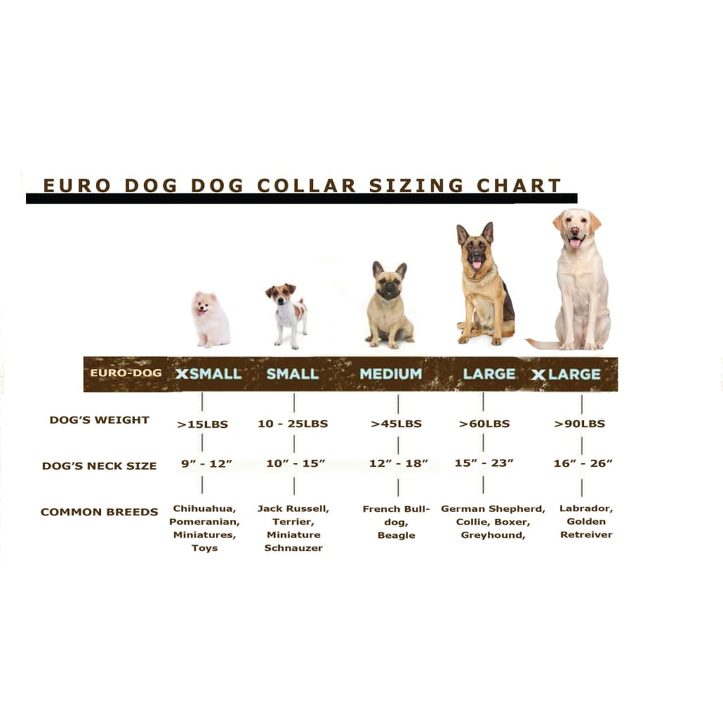 Bestseller Quick-Release Khaki Leather Dog Collar