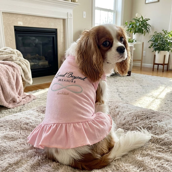 Beyond Measure Sparkle Dog Dress - Dog Dress