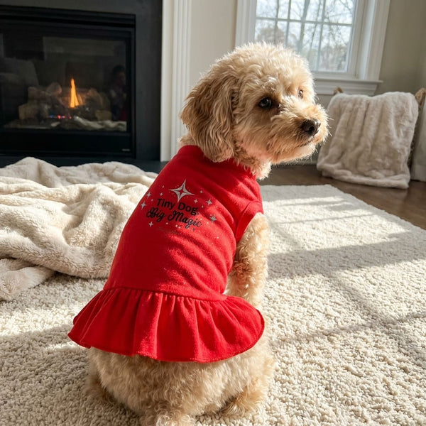 Big Magic Sparkle Dog Dress - Dog Dress
