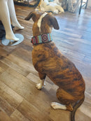 Bijou Beaded Dog Collar - Dog Collars - Maasai