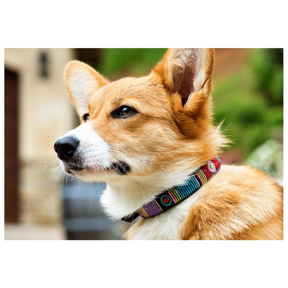 Bijou Beaded Dog Collar - Dog Collars - Maasai