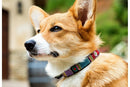 Bijou Beaded Dog Collar - Dog Collars - Maasai