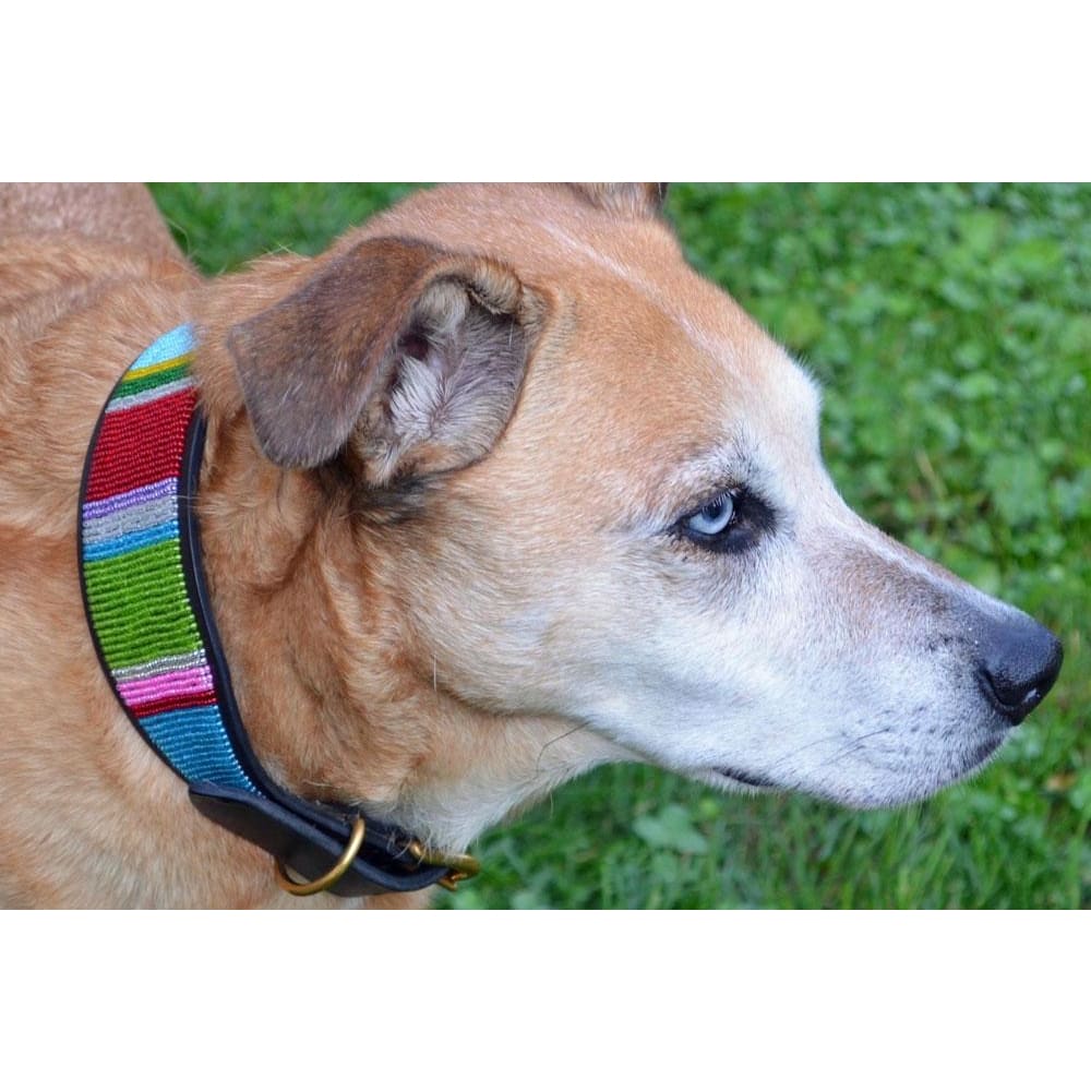 Bijou Beaded Dog Collar - Dog Collars - Maasai