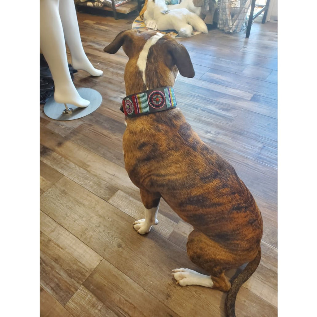 Bijou Beaded Dog Collar - Dog Collars - Maasai