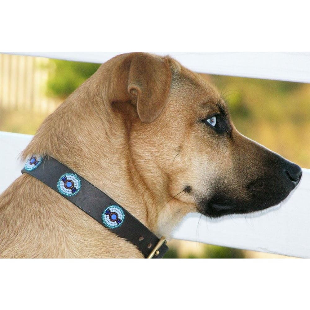 Blue/Brown Circles Beaded Dog Collar - Dog Collars - Maasai