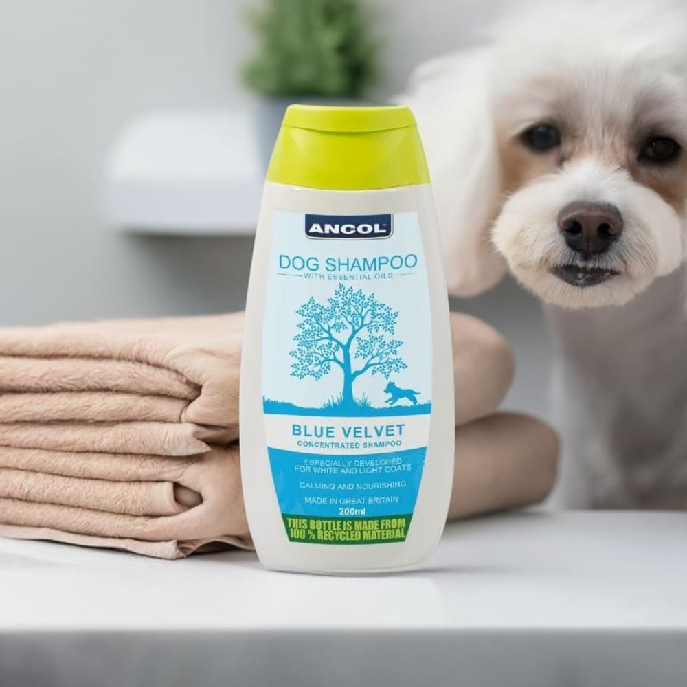 Blue Velvet Dog Shampoo – For White & Light Coats