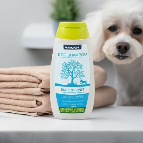 Blue Velvet Dog Shampoo – For White & Light Coats - Premium