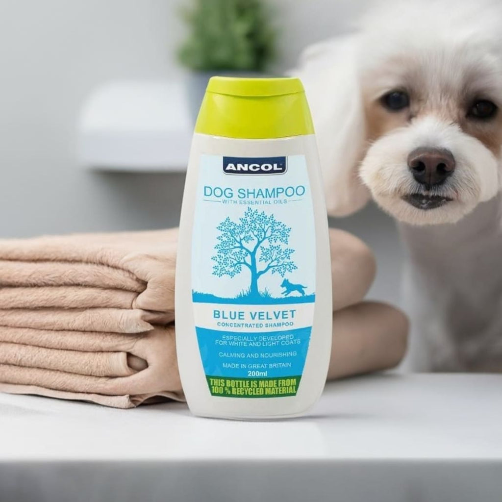 Blue Velvet Dog Shampoo – White Coat Care Puppy Safe