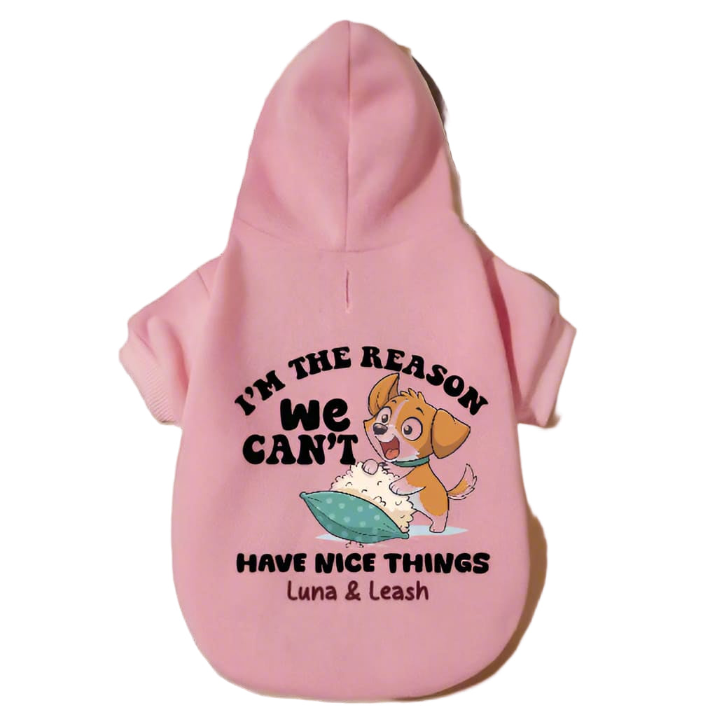 Can’t Have Nice Things Dog Hoodies - Dog Hoodies