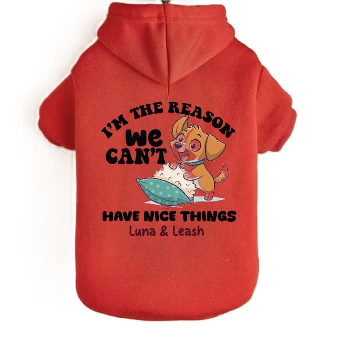Can’t Have Nice Things Dog Hoodies - Dog Hoodies