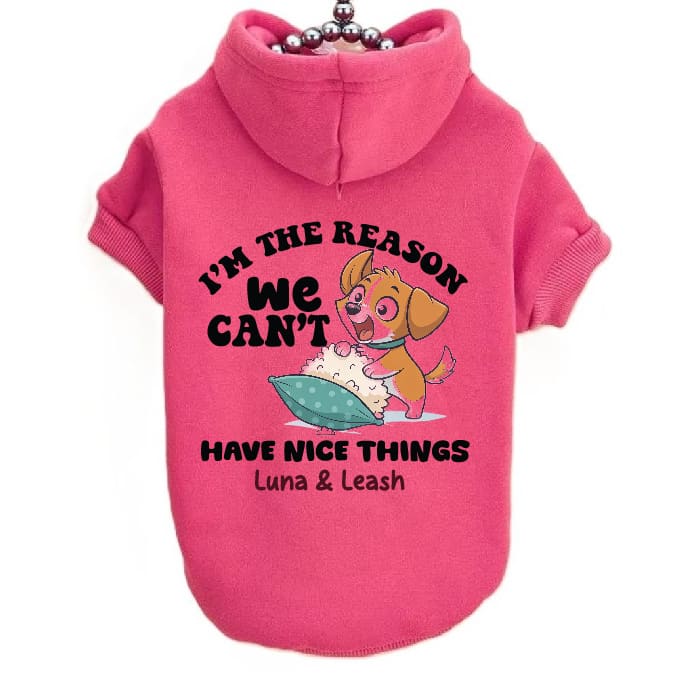 Can’t Have Nice Things Dog Hoodies - Dog Hoodies