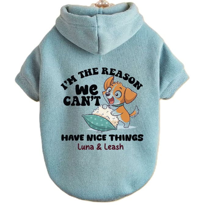 Can’t Have Nice Things Dog Hoodies - Dog Hoodies