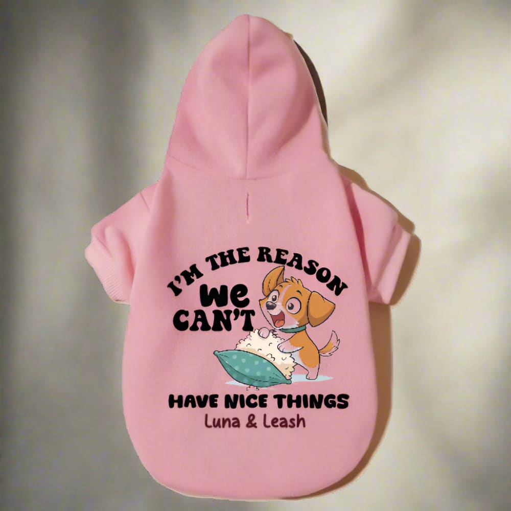 Can’t Have Nice Things Pet Hoodies - Pet Hoodies