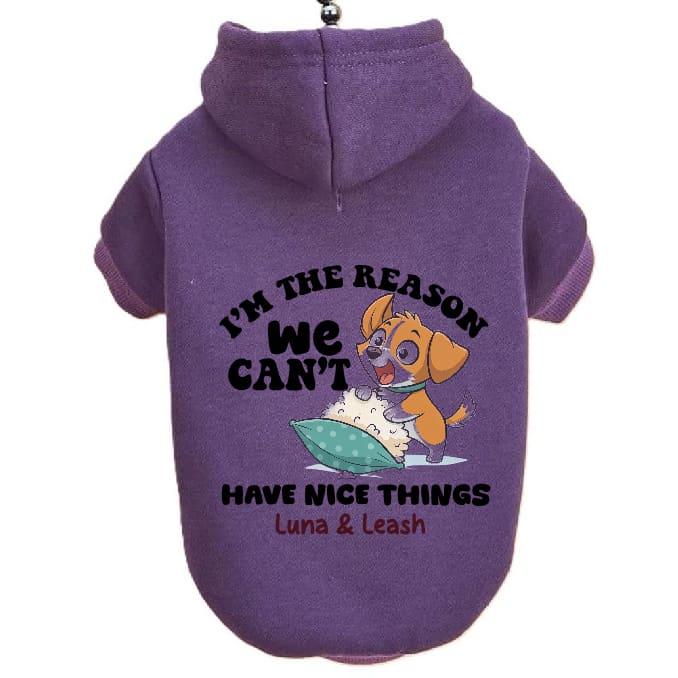 Can’t Have Nice Things Pet Hoodies - Pet Hoodies