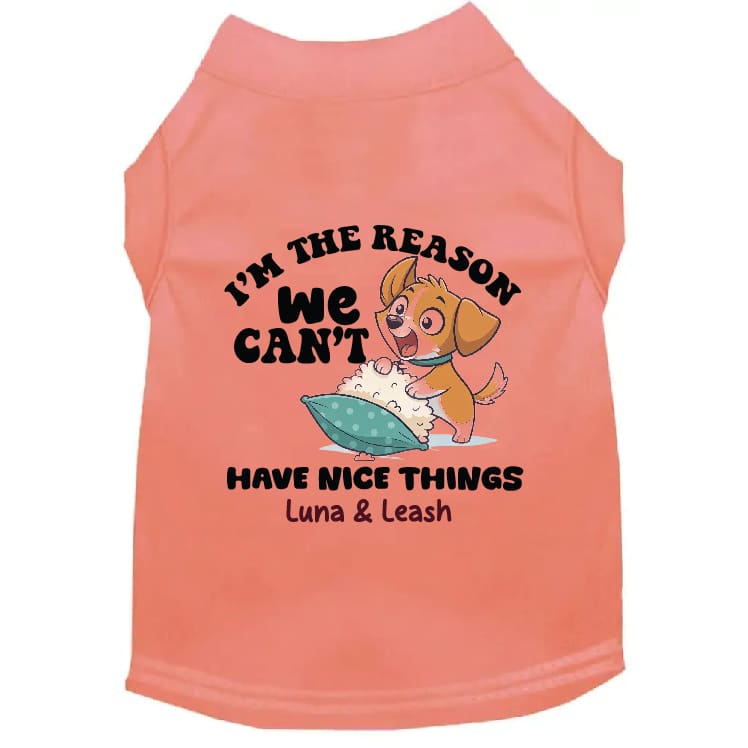 Can’t Have Nice Things Pet Shirt - Pet Shirt