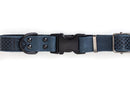 Celtic Sport Blue Jeans Leather Dog Collar - Dog Collars