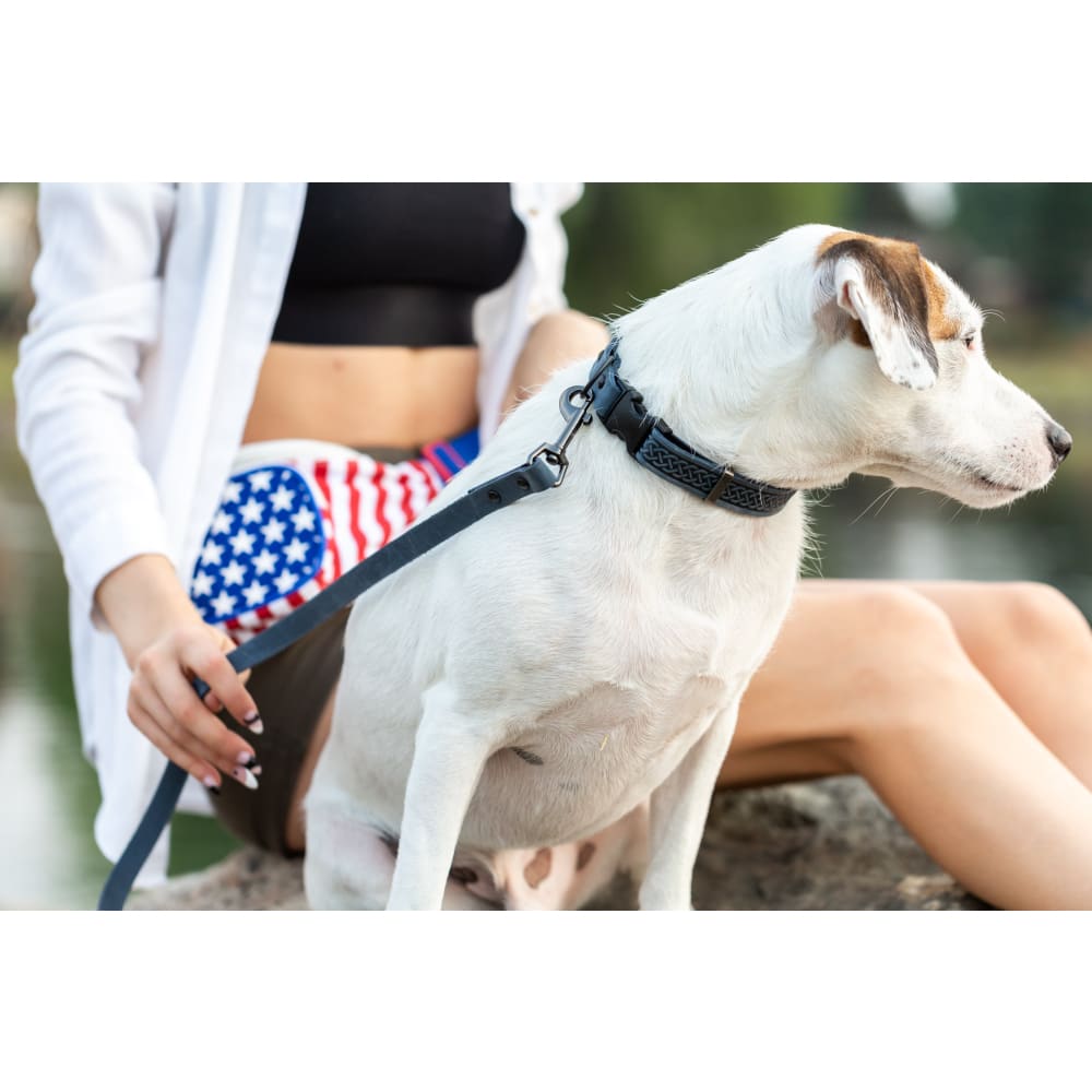 Celtic Sport Blue Jeans Leather Dog Collar - Dog Collars