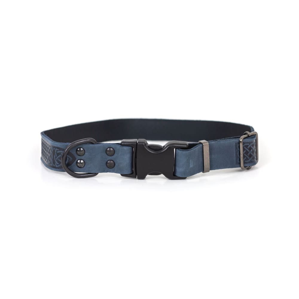 Celtic Sport Blue Jeans Leather Dog Collar - Dog Collars