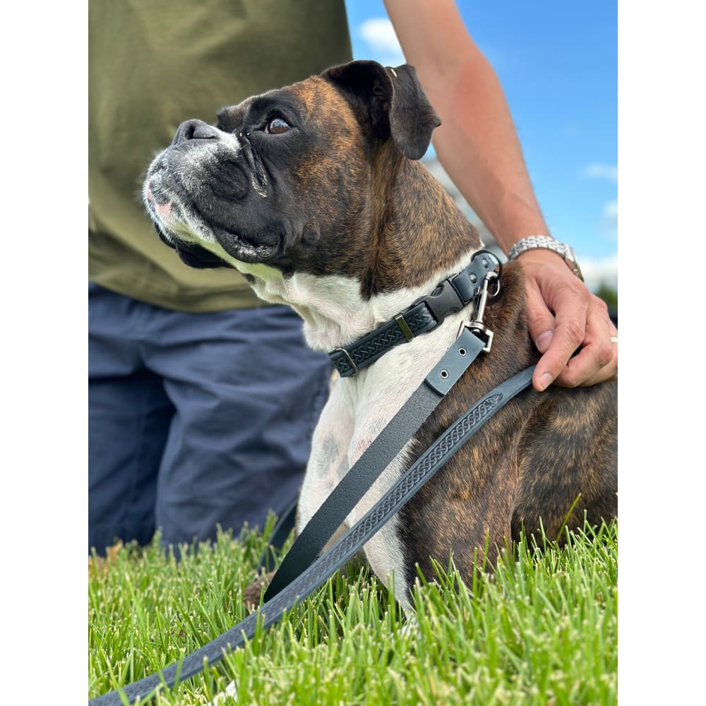 Celtic Sport Blue Jeans Leather Dog Leash - Dog Leash