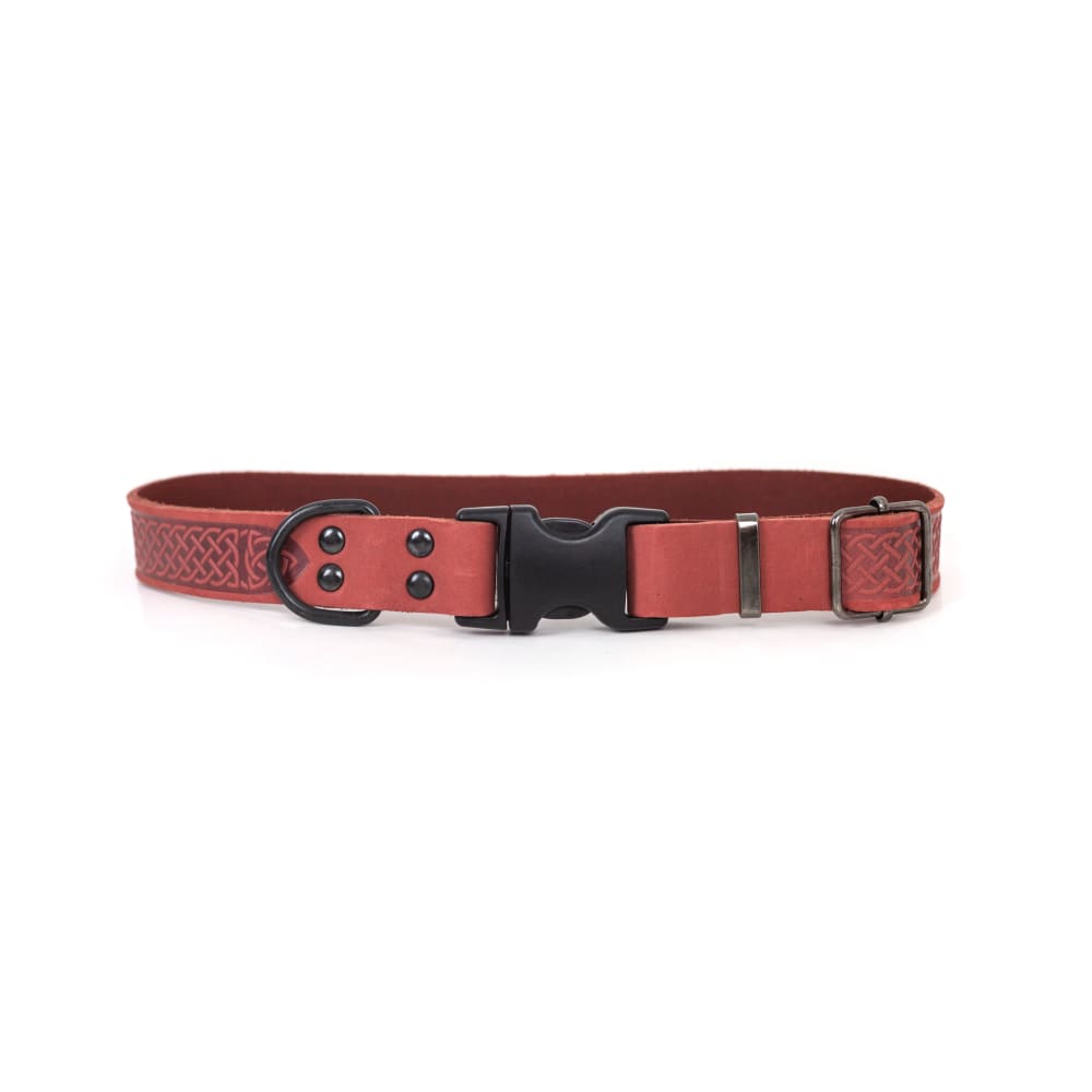 Celtic Sport Coral Reef Leather Dog Collar - Dog Collars