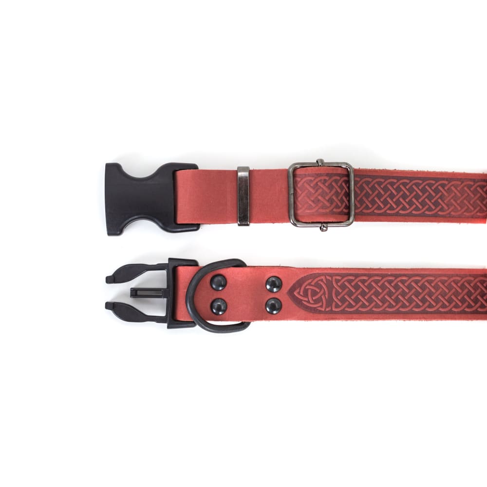 Celtic Sport Coral Reef Leather Dog Collar - Dog Collars