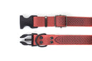 Celtic Sport Coral Reef Leather Dog Collar - Dog Collars