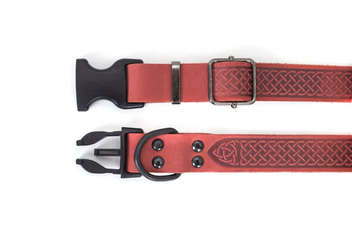 Celtic Sport Coral Reef Leather Dog Collar - Dog Collars