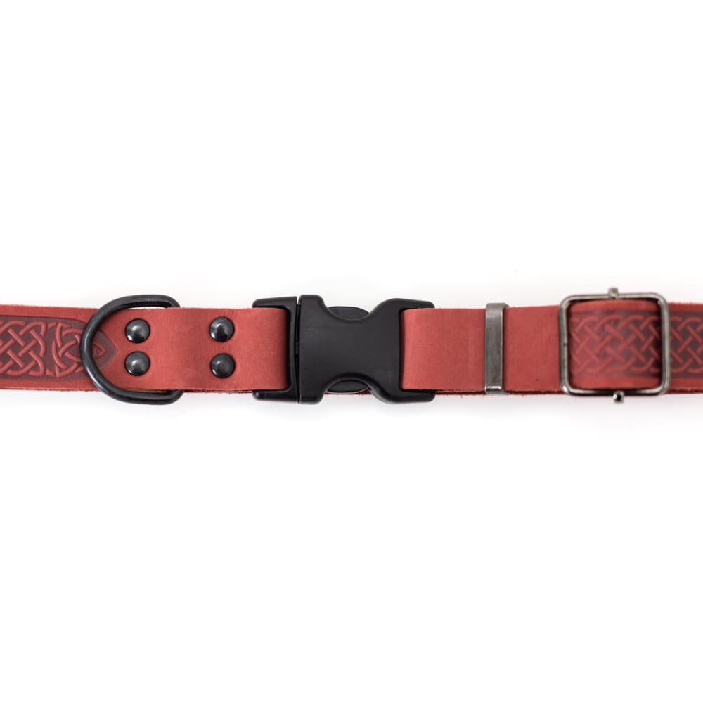 Celtic Sport Coral Reef Leather Dog Collar - Dog Collars
