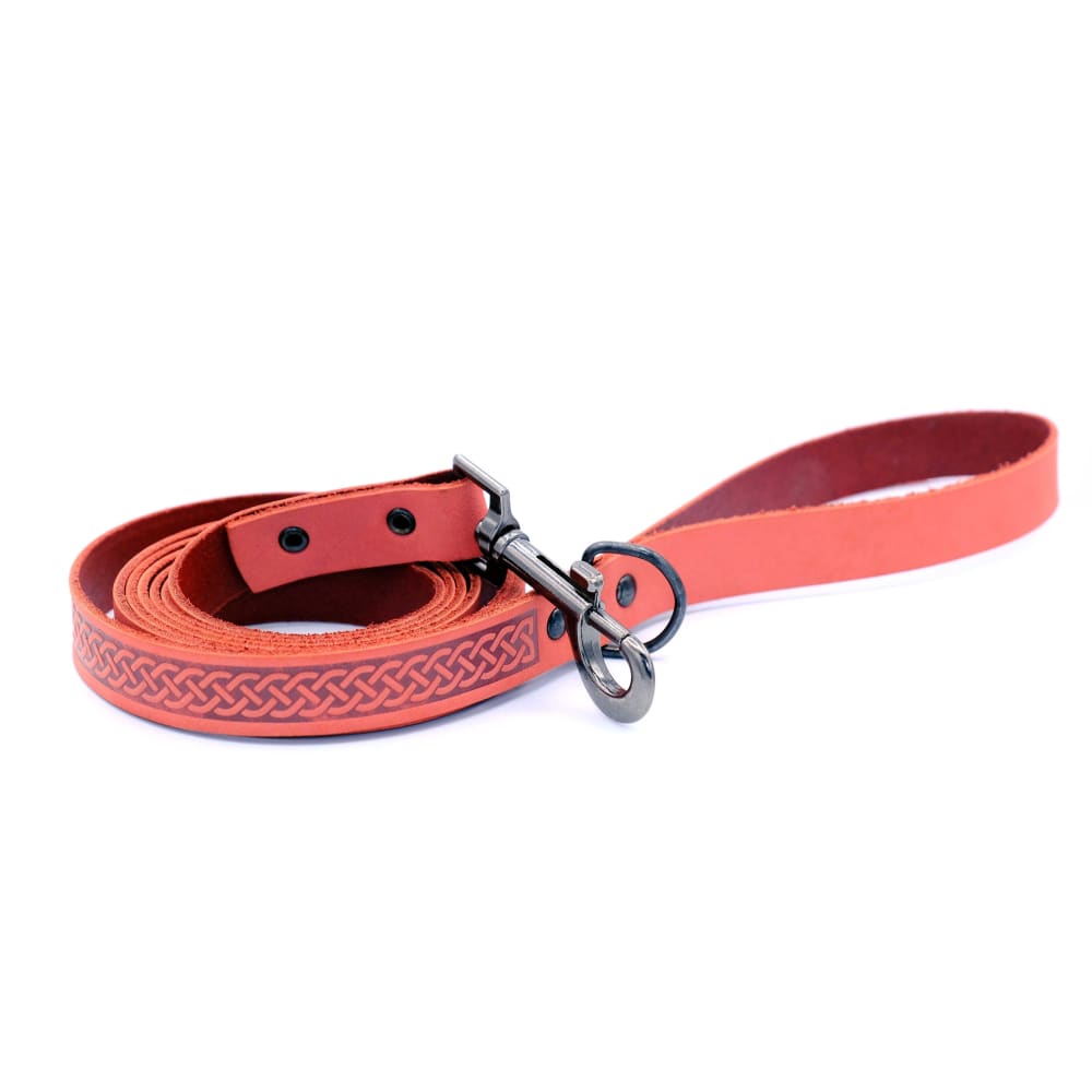 Celtic Sport Coral Reef Leather Dog Leash - Dog Leash
